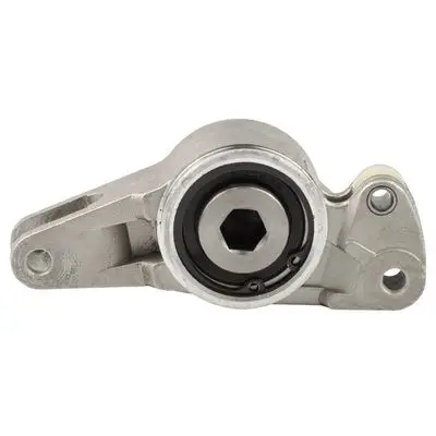 Tendeur courroie Bapmic BACB11-234030